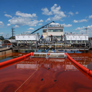 Oil Cleanup