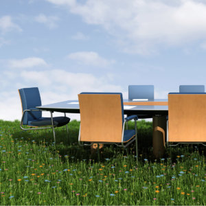 Sustainable Board
