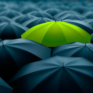 What does a CSR manager do?