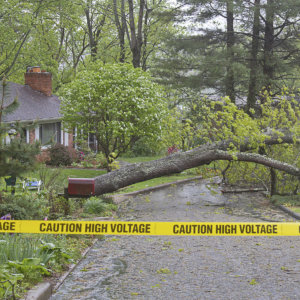 Insurance Sustainability Climate Change Natural Disaster