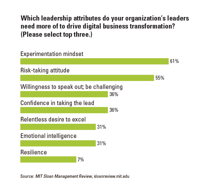 Risk Taking Leads to Digital Success