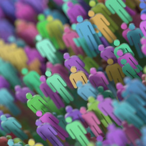 Echo Chamber Social Network Search Crowd Individual