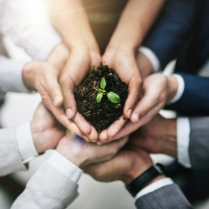 Support SDGs UN United Nations Global Compact Sustainability Development Goals