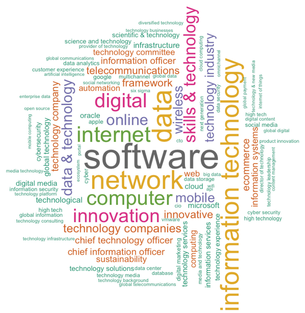 Word cloud of key words in digitally savvy director bios